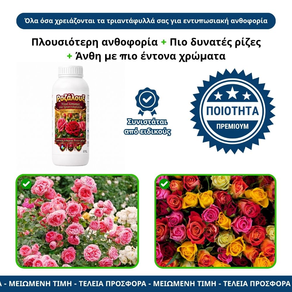 Ροζάλουξ (rozalux)