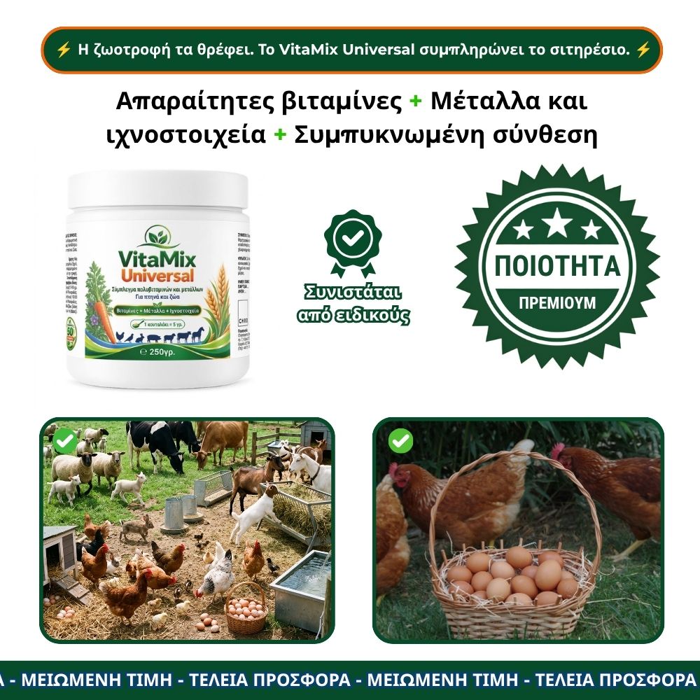 VitaMix Universal